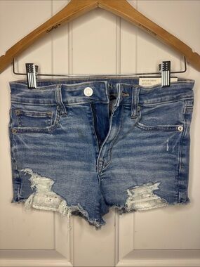 American Eagle Outfitters Distressed Medium Blue Denim Cutoff Shorts